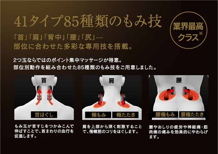 41タイプ85種類のもみ技